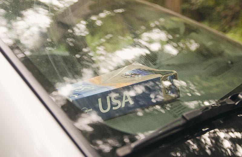 roadtrip_amerika_potovanja_redwoods_6