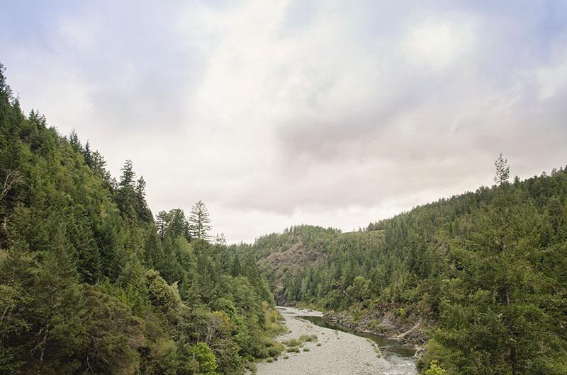 roadtrip_amerika_potovanja_redwoods_22
