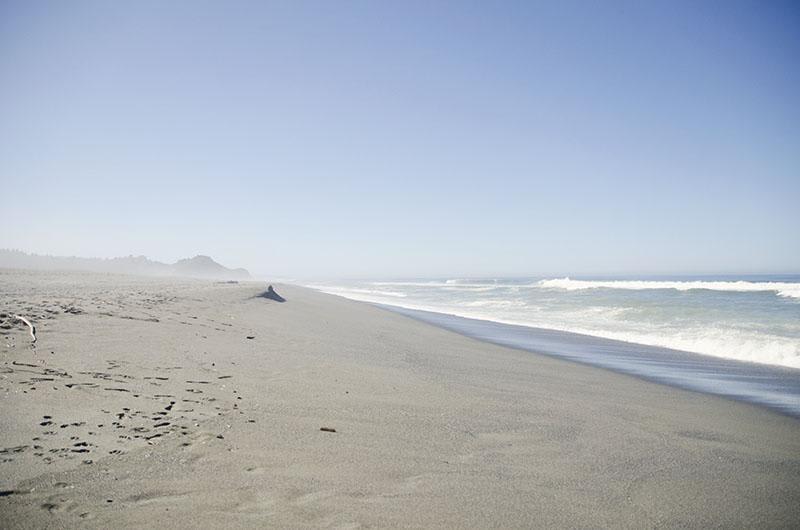 roadtrip_amerika_potovanja_redwoods_17