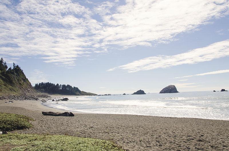 roadtrip_amerika_potovanja_redwoods_15