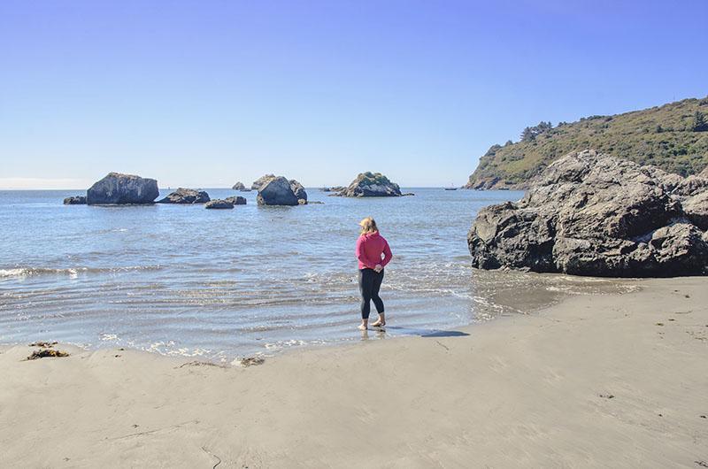 roadtrip_amerika_potovanja_redwoods_4