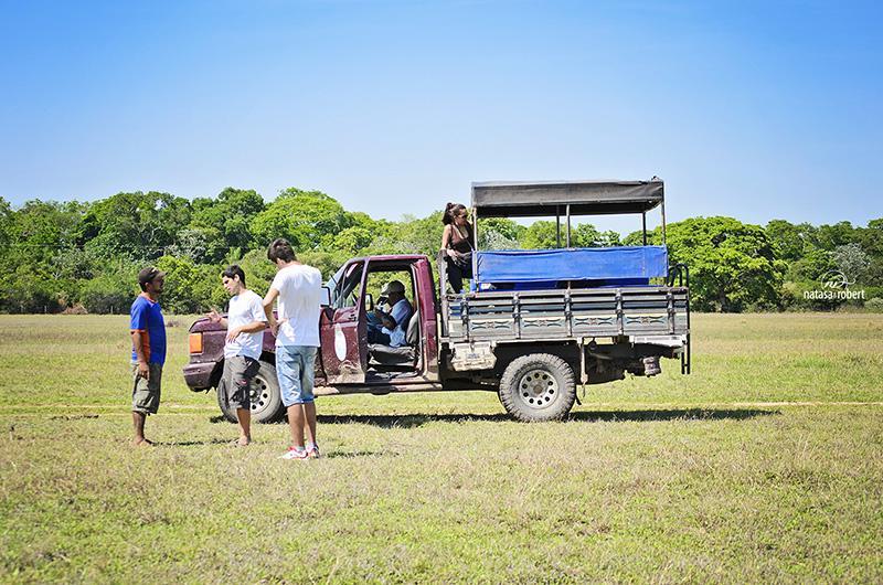 pantanal 108