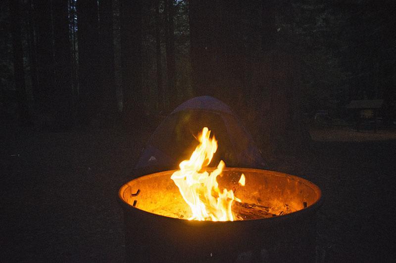 roadtrip_amerika_potovanja_redwoods_12