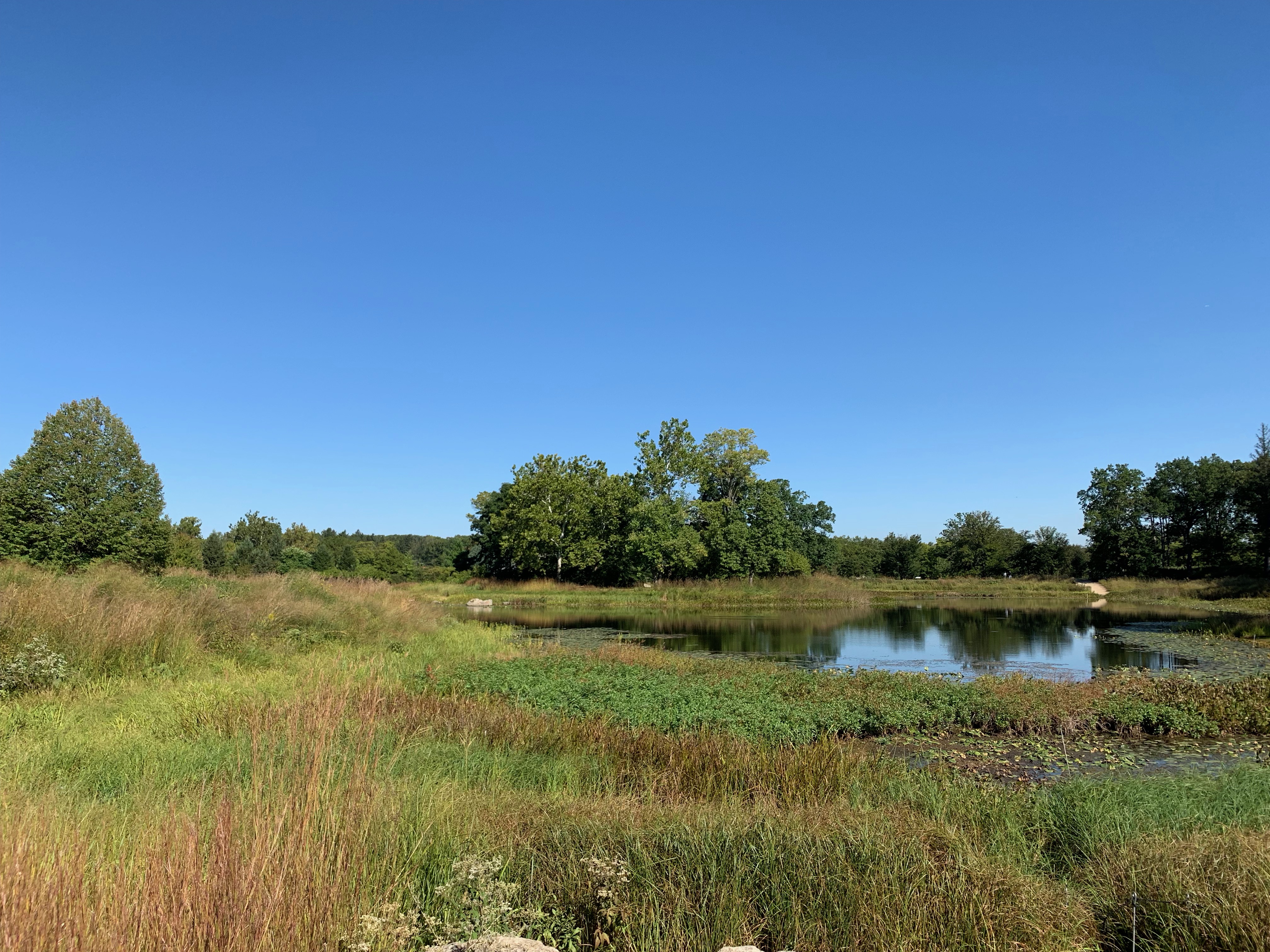 photo of a field taken with an iPhone Xs