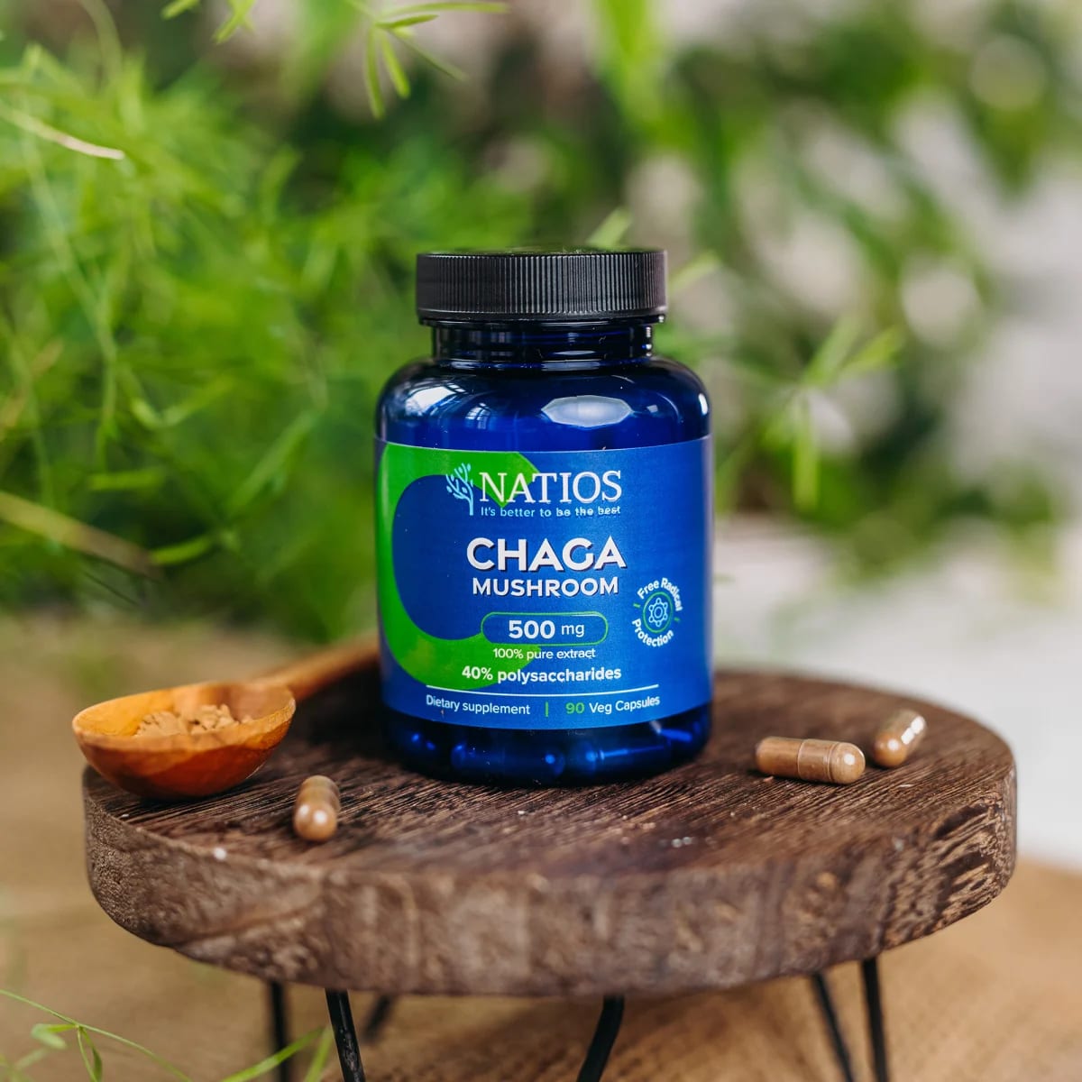 NATIOS_Chaga_Extract,_500_mg,_40%_polysaccharides,_90_veganských_kapslí