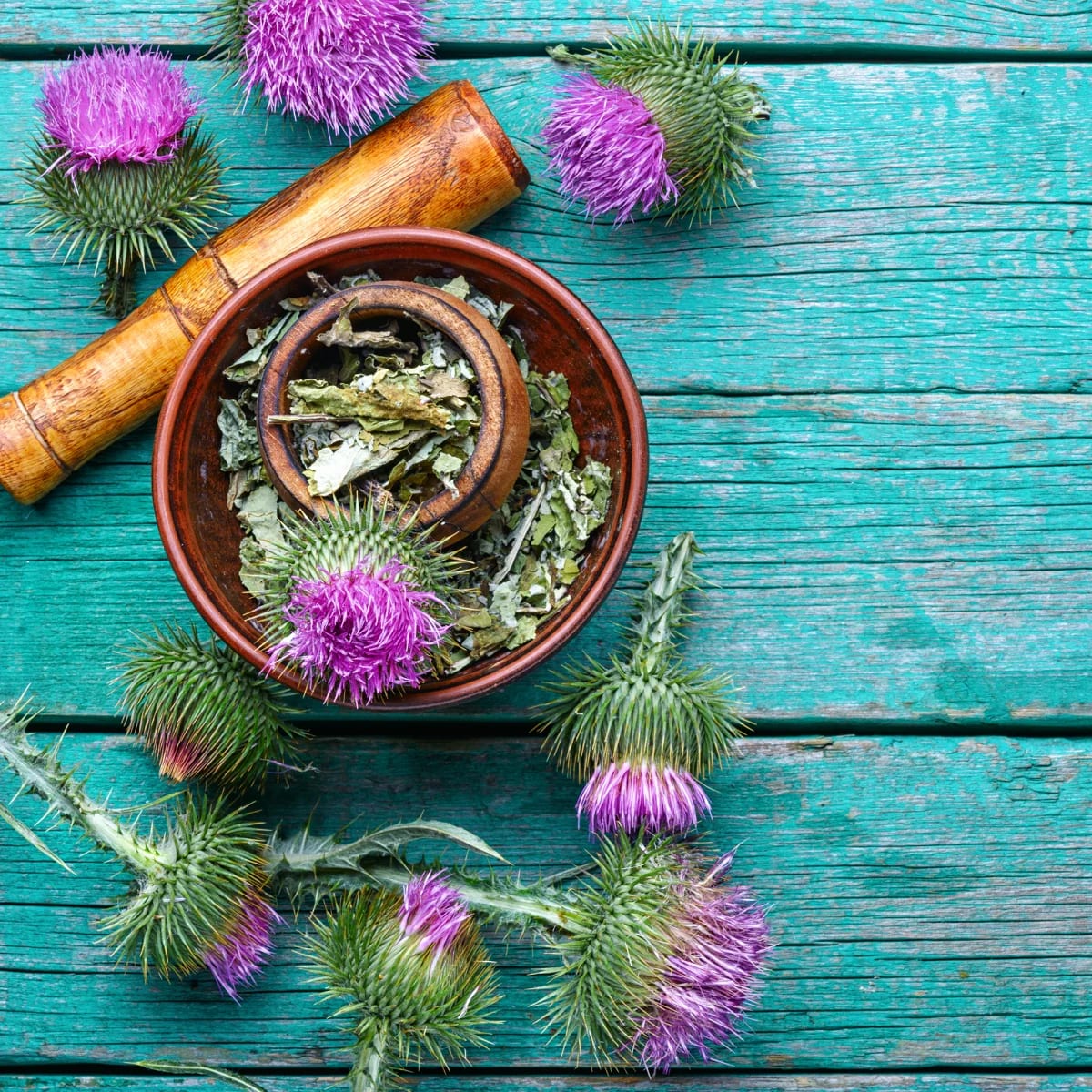 NATIOS_Liver_Complex,_Komplex_6_složek_na_játra,_90_veganských_kapslí