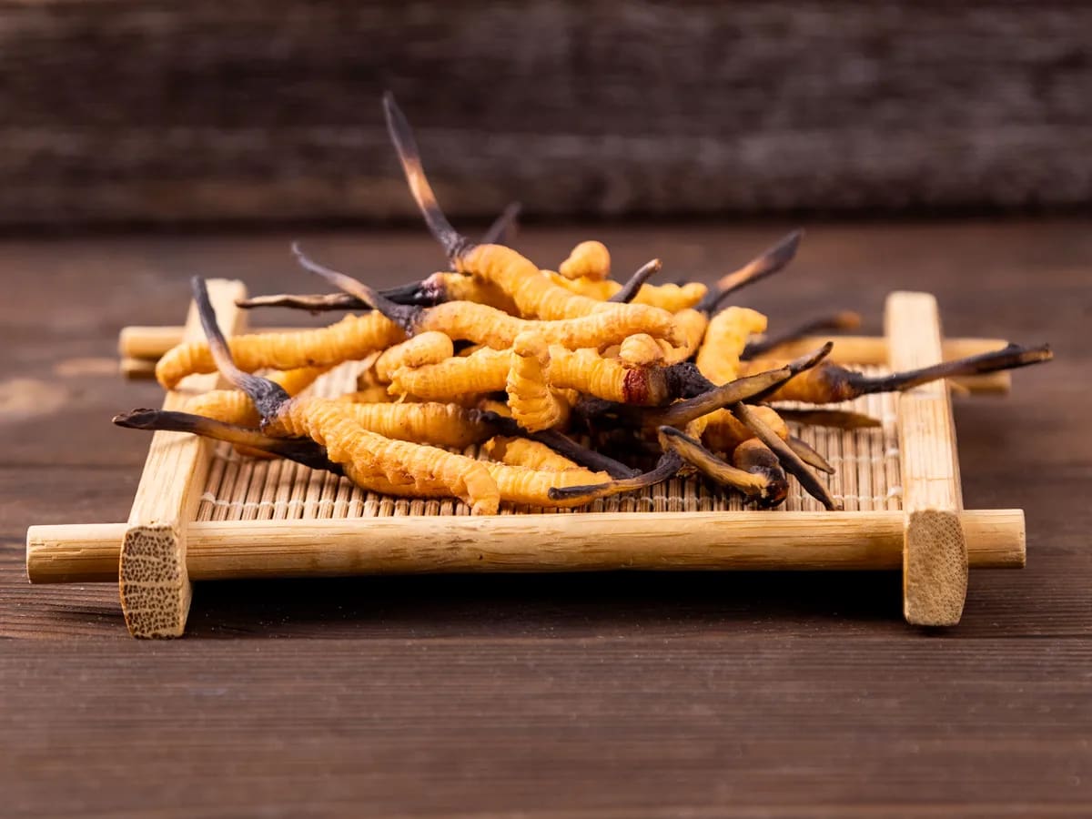 NATIOS_BIO_Houba_Cordyceps_sinensis_Mletá_(Housenice_čínská),_100_g