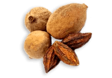 Swanson_Triphala_s_Amlou,_Behadou_a_Haradou,_500_mg,_100_kapslí