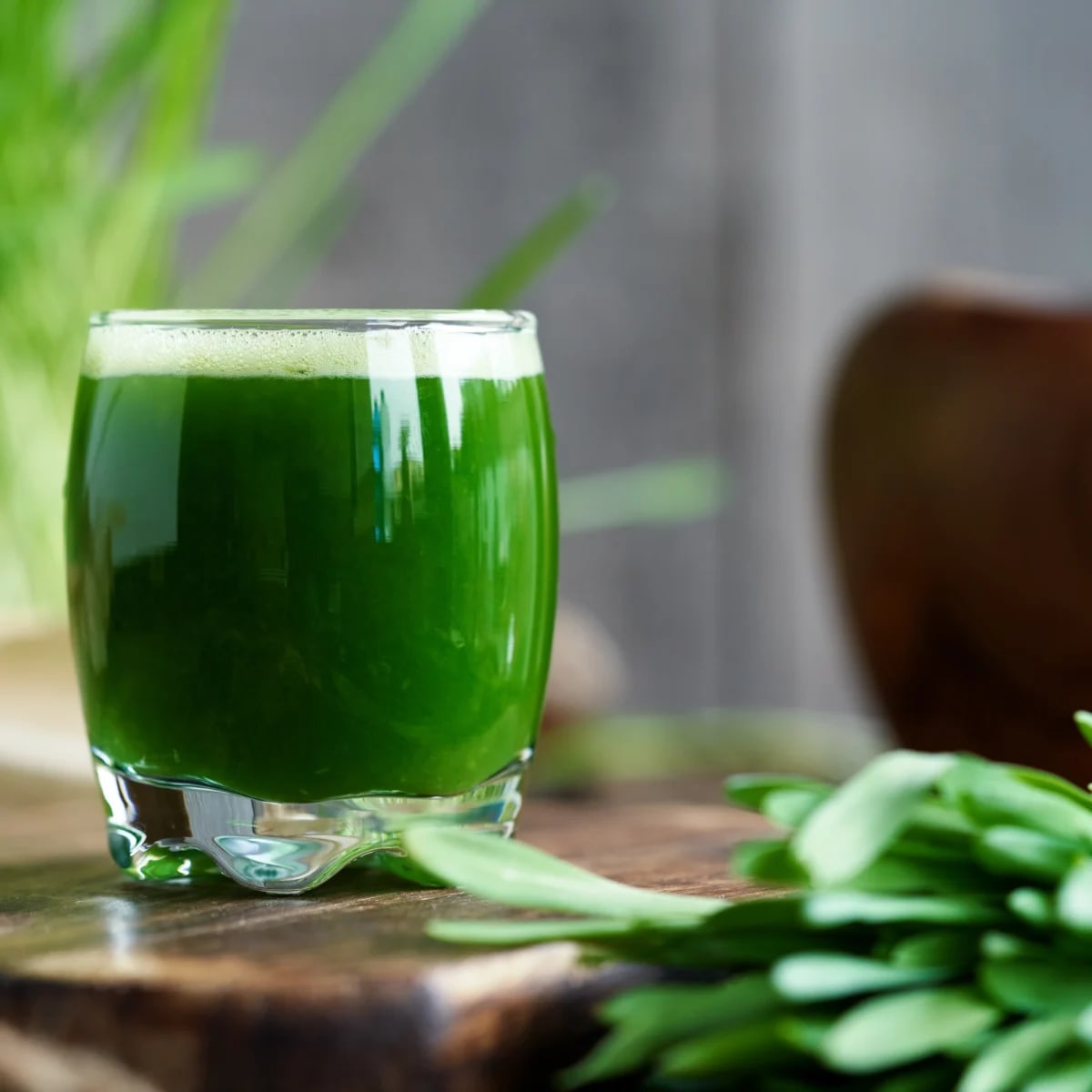 NATIOS_Premium_Super_Greens,_Lesní_ovoce,_228_g