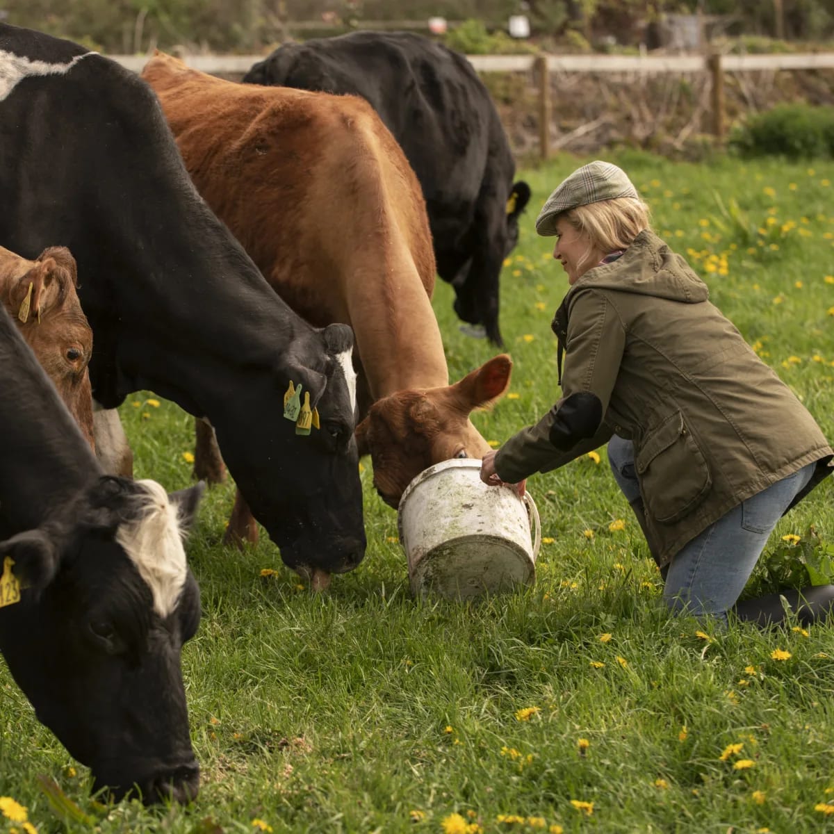 NATIOS_Native_Whey_Protein,_Vanilka,_1000_g