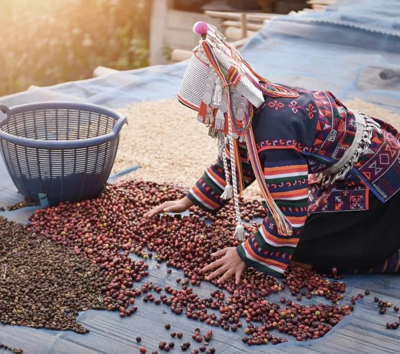 Trismoka_Caffe_Miss_Moka,_zrnková_káva,_100_%_arabica,_1_kg