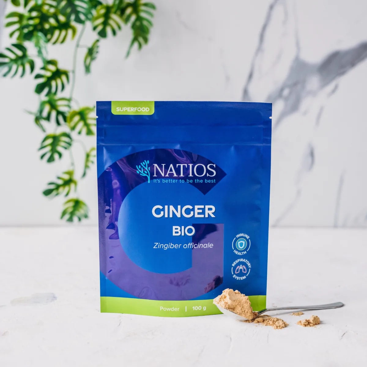 NATIOS_Zázvor_BIO_prášek,_100_g