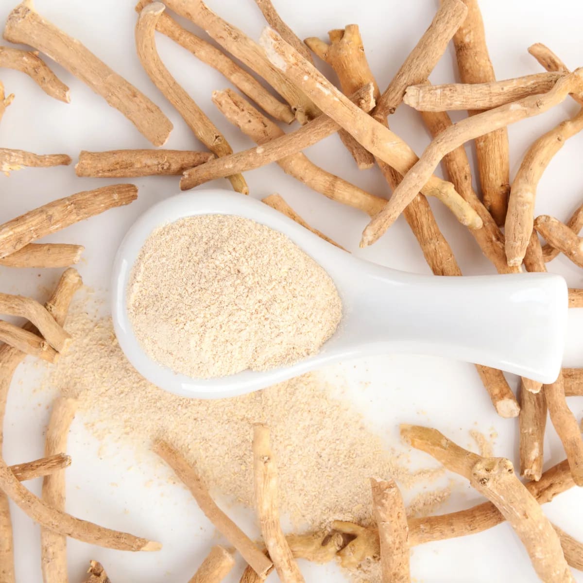 NATIOS_Ashwagandha_BIO_prášek,_100_g