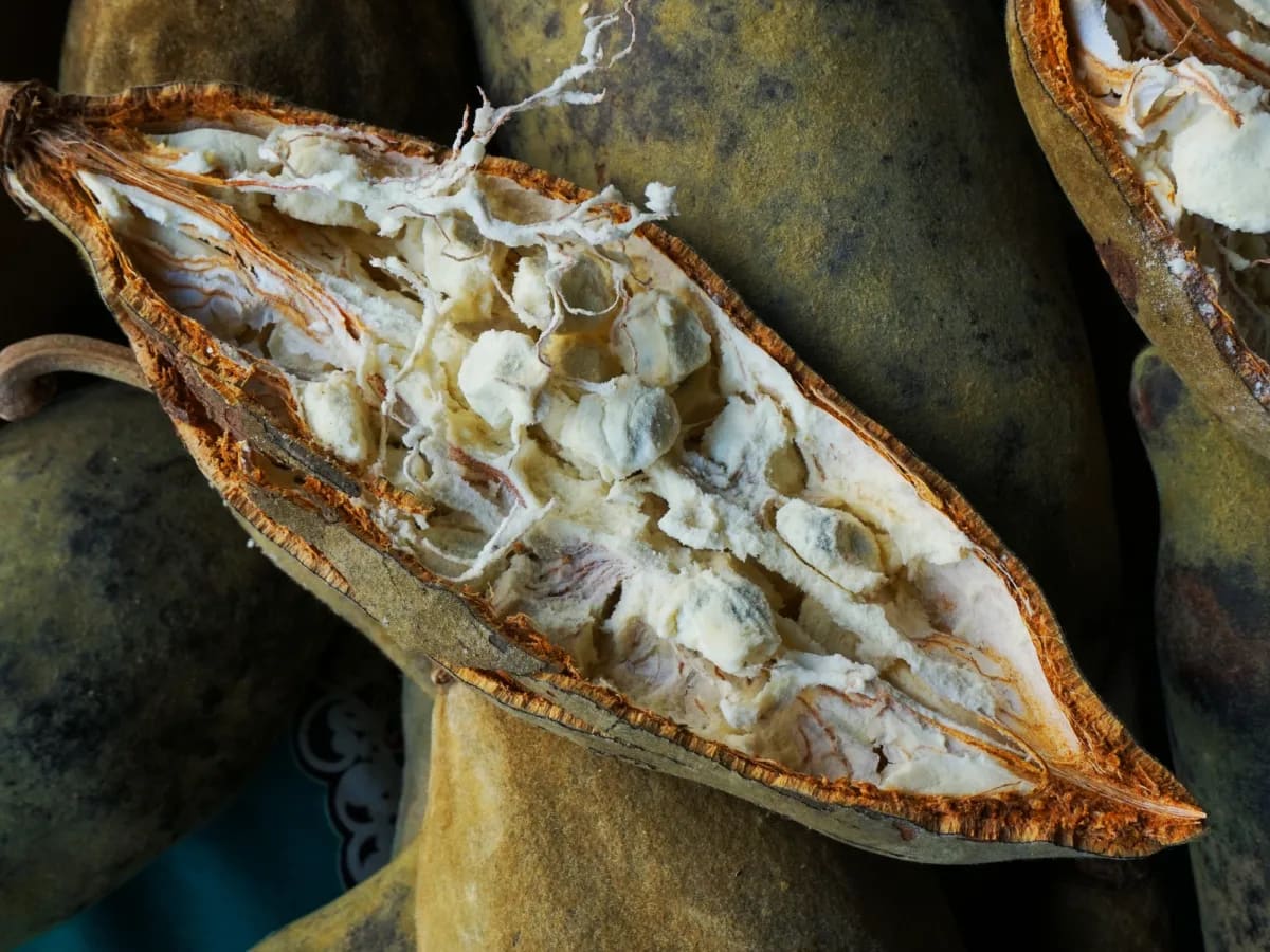 NATIOS_Baobab_BIO_prášek,_100_g