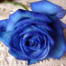 Linda Flores