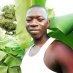 touray 2019