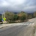 Altadena Safe Streets