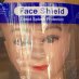 Shijing Wang Shijing Wang