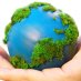 Sustain Culture
