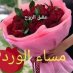 عبدالله ابو نصار