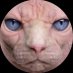 butlin cat butlin cat