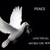 Peace Foundation
