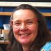 Kathy Landvogt