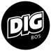 DigBoston