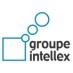 Groupe Intellex Groupe Intellex