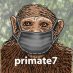 Primate Seven Primate Seven