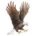 Tc Record-Eagle