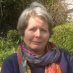 Judith Martin Judith Martin