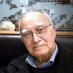 harry cohen