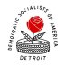 detroitdsa