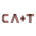 Ca+T