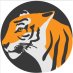 Bengal Newz