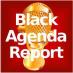 Bruce Black Agenda Report