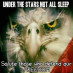 NightOwl18