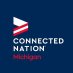 Connect Michigan