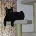 Cherie McEwen