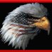 honey_badger_cares