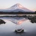 World Beauty