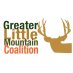 Greater Little Mountain Coalition