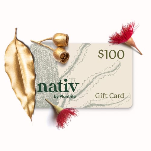 $100 e-gift card