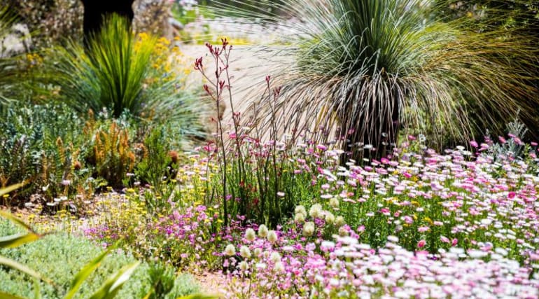 Philip Johnson Landscaping
