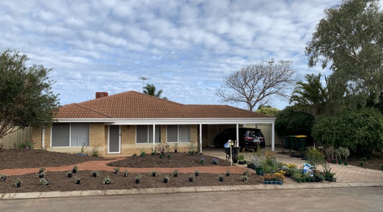 native garden makeover series