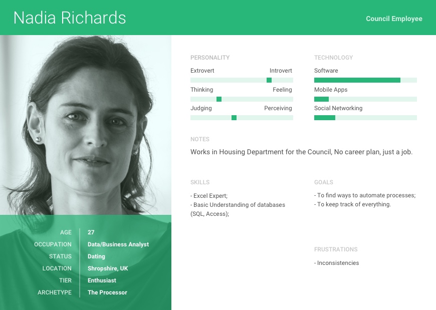 Data Analyst persona
