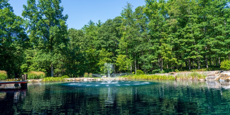 Pond with fountain and blue water from dye application