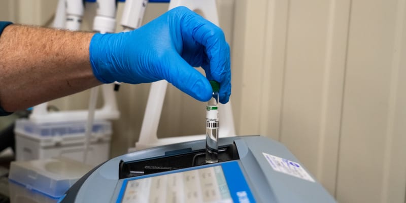 A test vial being placed into a tabletop meter