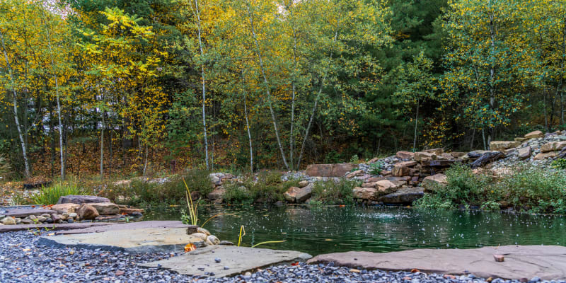 A small pond with trees in the background in partial fall colors with yellow and orange